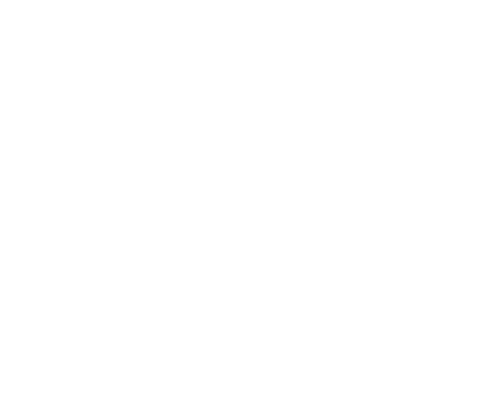 Technical Trainer & Software Support Lead